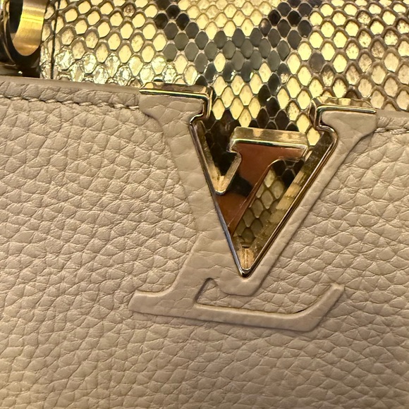 Louis Vuitton Capucines Mini Python - Picture 3 of 14